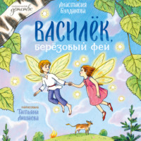 Анастасия Булдакова. Василек, березовый фей