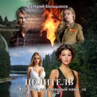 Валерий Большаков. Целитель. Этот мир, придуманный нами