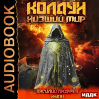 . Колдун. Книга 1. Низший мир