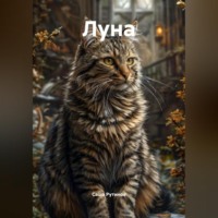 Саша Рутинов. Луна
