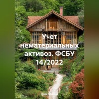. Учет нематериальных активов. ФСБУ 14/2022