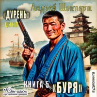 Андрей Готлибович Шопперт. Дурень. Книга пятая. Буря