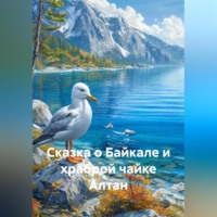 Роджер. Сказка о Байкале и храброй чайке Алтан