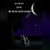 . Из жизни одной мышки