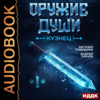 . Оружие души. Кузнец. Книга 1