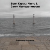 Александр Воронцов. Воин Кармы. Часть 5. Закон Неотвратимости