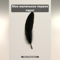 Махат Даниярович Мейрембаев. Мое маленькое первое перо!