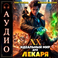 . Идеальный мир для Лекаря 20
