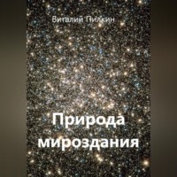 Виталий Евгеньевич Пилкин. Природа мироздания