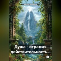 . Душа – отражая действительность…