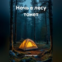 Александр Гавань. Ночь в лесу тонет