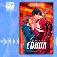 . Красный Сокол