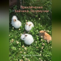 Загадочный Писатель. Приключения Зайчика-Почемучки