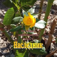 . По следам авантюристки. Часть 2. Наследник