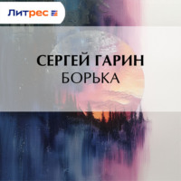 Сергей Гарин. Борька