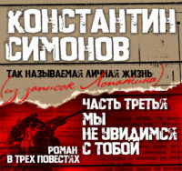 . Мы не увидимся с тобой…