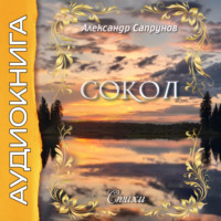 Александр Сапрунов. Сокол