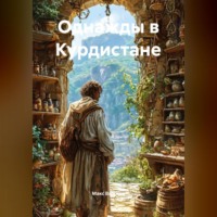 . Однажды в Курдистане