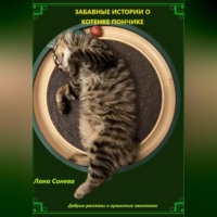 Лана Синева. ЗАБАВНЫЕ ИСТОРИИ О КОТЕНКЕ ПОНЧИКЕ