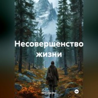 . несовершенство жизни