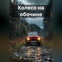 . Колесо на обочине