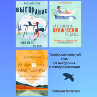 . Профессиональный путь: от выгорания к самореализации. Сборник