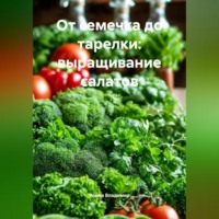 Война Владимир. От семечка до тарелки: выращивание салатов