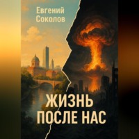 Евгений Владимирович Соколов. Роман ЖИЗНЬ ПОСЛЕ НАС