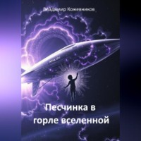 Владимир Кожевников. Песчинка в горле Вселенной