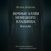 . Ночные аллеи Немецкого кладбища. Начало.