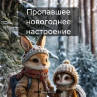 Дарья Александровна Шевчук. Пропавшее новогоднее настроение