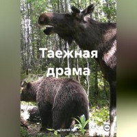Сергей Жук. Таежная драма