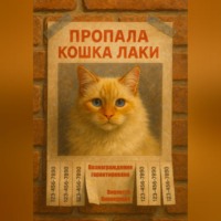 . Пропала кошка Лаки
