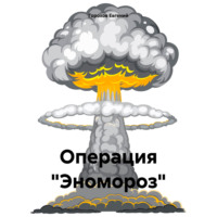 Евгений Петрович Горохов. Операция «Эномороз»