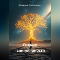 Владимир Кожевников. Сияние сингулярности