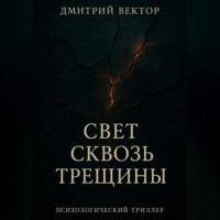 Дмитрий Вектор. Свет сквозь трещины