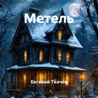 Евгений Александрович Ткачёв. Метель