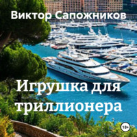 . Игрушка для триллионера