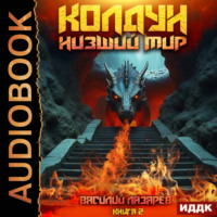 . Колдун. Книга 2. Низший мир