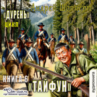 Андрей Готлибович Шопперт. Дурень. Книга шестая. Тайфун