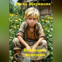 Елена Владимировна Жарикова. Венькины камешки
