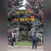 . За мечтой