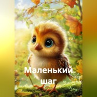 . Маленький шаг