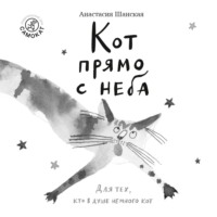 . Кот прямо с неба