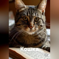Мария Козлова. Кошка