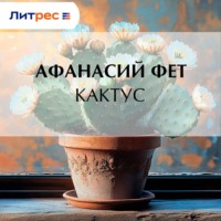 . Кактус