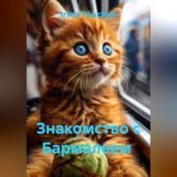 . Знакомство с Бармалеем