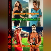 Александр Леонидович Кириллов. Профессионал 2