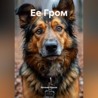 Евгений Валентинович Ершов. Ее Гром