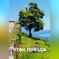 Антон Игоревич Веселов. Угон поезда